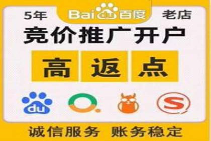 百度竞价成功案例解析